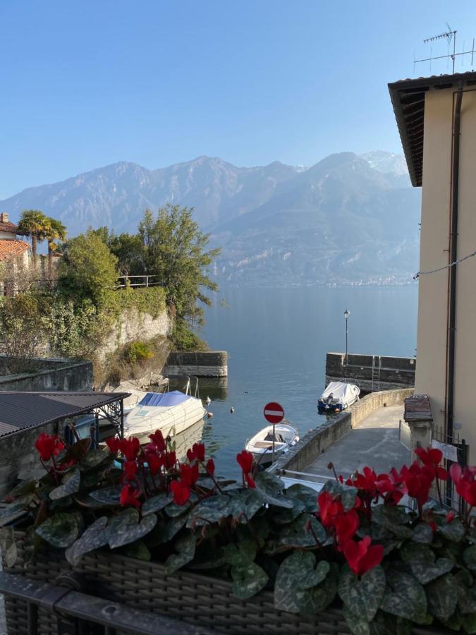 Al Molo 5 - Margaritaville Oliveto Lario Экстерьер фото
